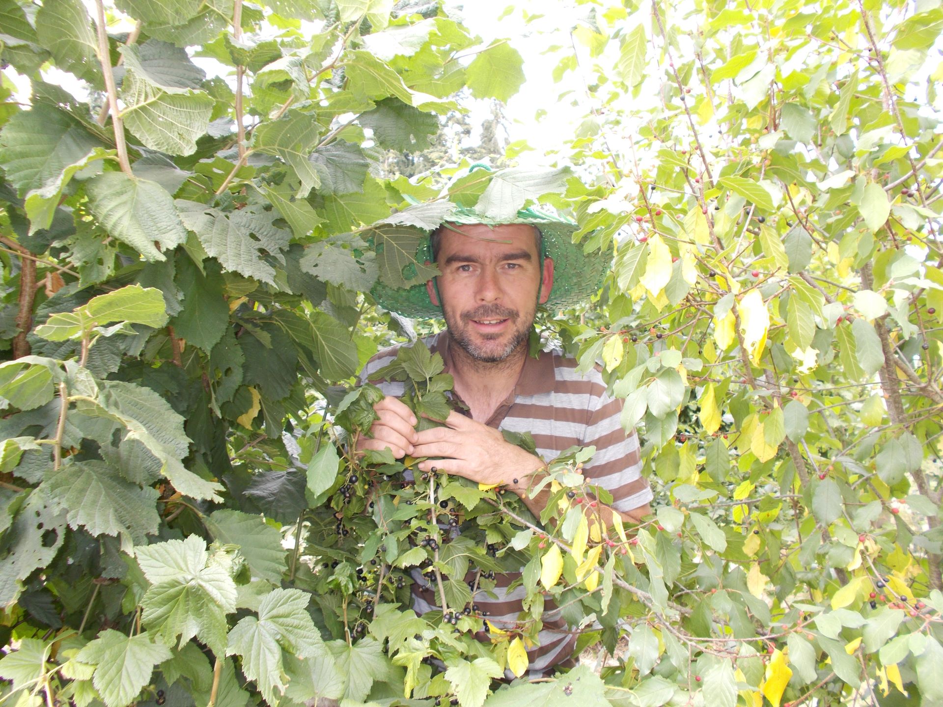Frédéric dans les arbres